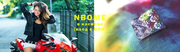 индика Абаза