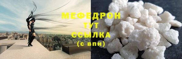 индика Абаза