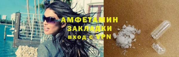 индика Абаза