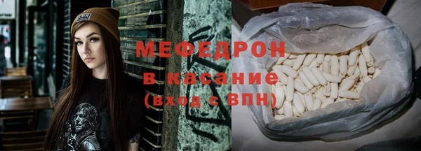 индика Абаза