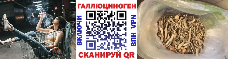 Галлюциногенные грибы мицелий  Октябрьский 